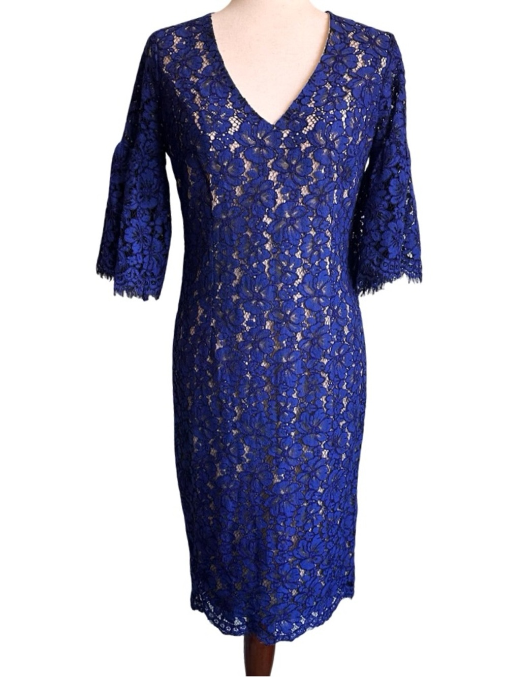 Alexia Admor Royal Blue Lace V-Neck Bell Sleeve Sheath Party Dress Medium EUC